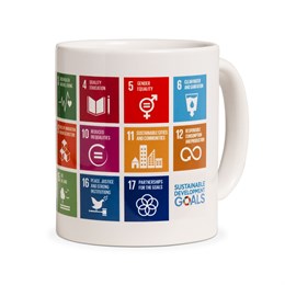 SDG Mug